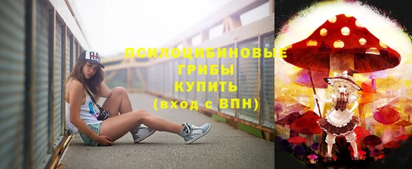 ешки Абинск