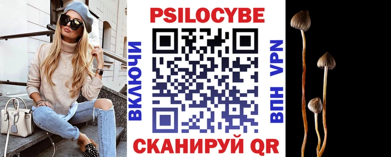 закладка  mega ТОР  Псилоцибиновые грибы Cubensis  Галич 